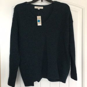 Ann Taylor Loft sweater Lg petite